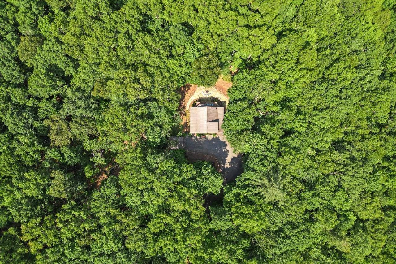 Bear Naked Bungalow Blue Ridge Ngoại thất bức ảnh